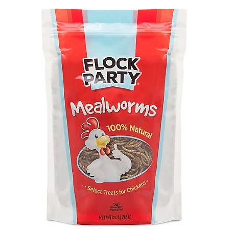 halloween chicken tractor supply|mealworms for chickens tractor supply.